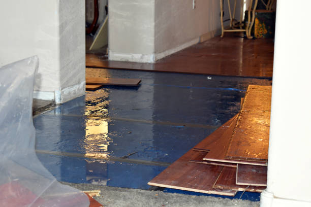 Professional Basement Flooding technician working in Wayland, IA